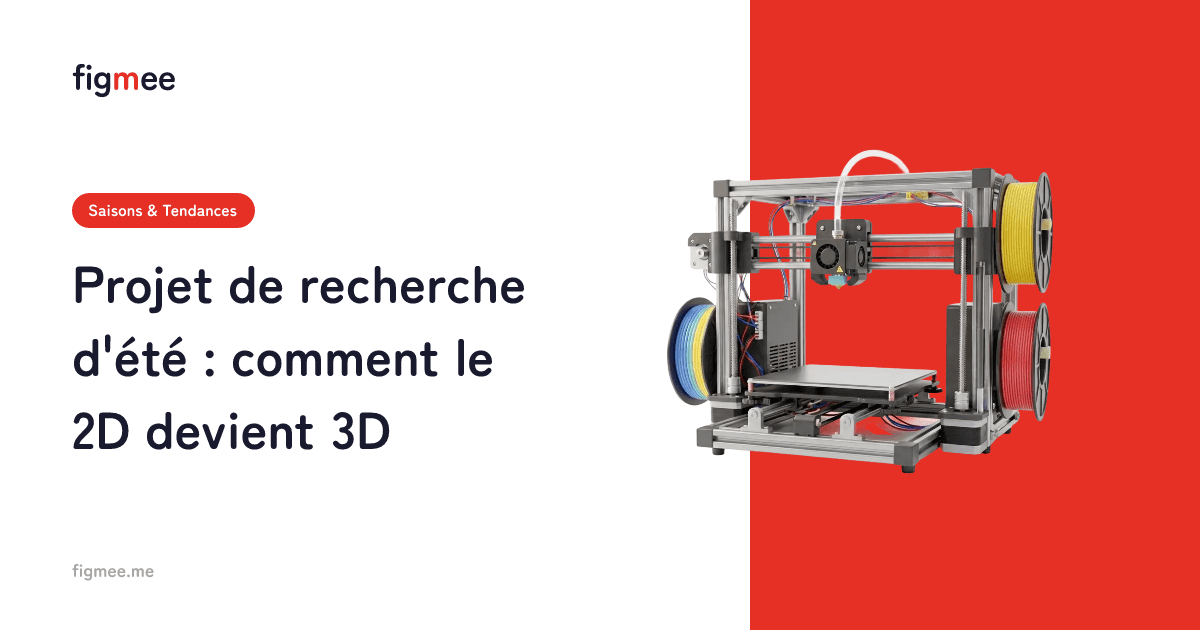 Projet de recherche d'été : comment le 2D devient 3D