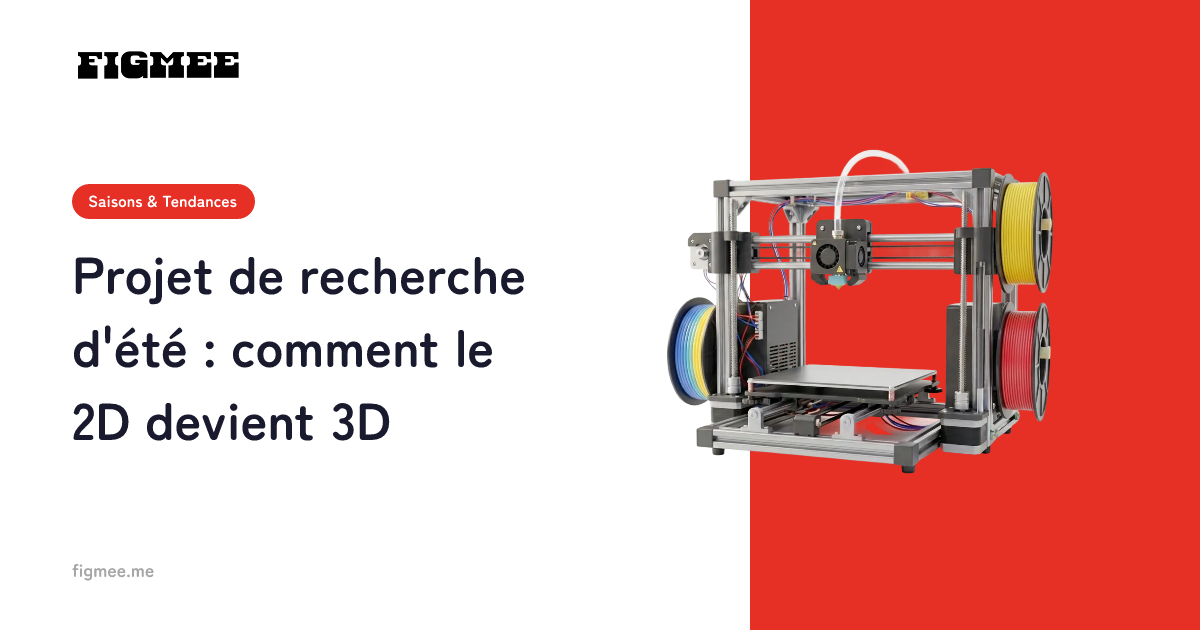 Projet de recherche d'été : comment le 2D devient 3D
